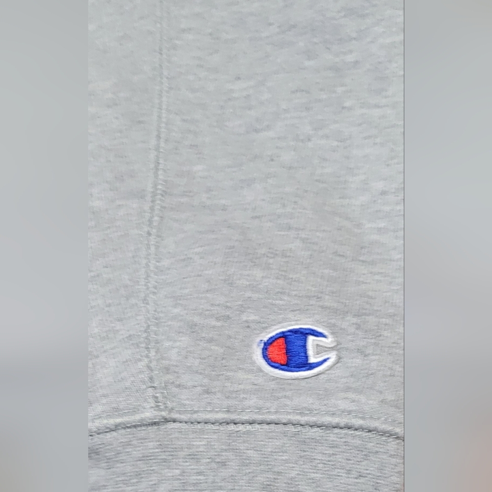 champion sweatshirt 2010s pullover ₊✩‧₊˚౨ৎ˚₊✩‧₊ - Picture 3 of 6